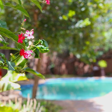 Mawuya Lodge شلالات فيكتوريا المظهر الخارجي الصورة