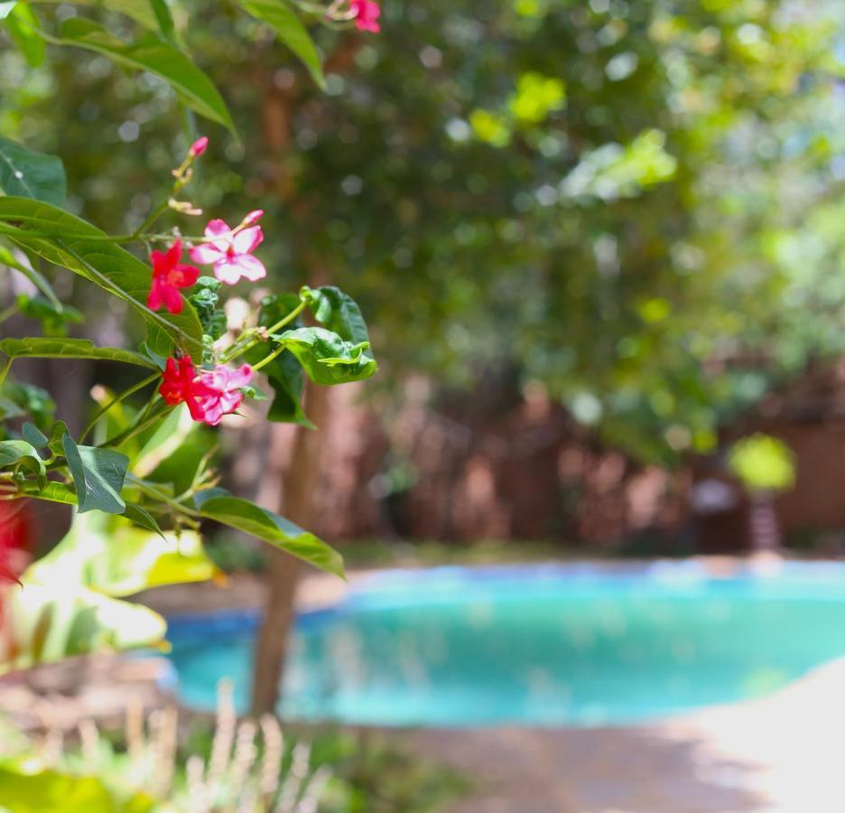 Mawuya Lodge شلالات فيكتوريا المظهر الخارجي الصورة